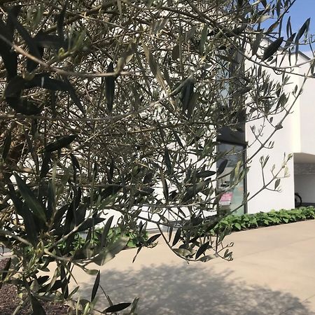 B&B Vita Roka met extra Luxe Privé Wellness Ursel Exteriör bild