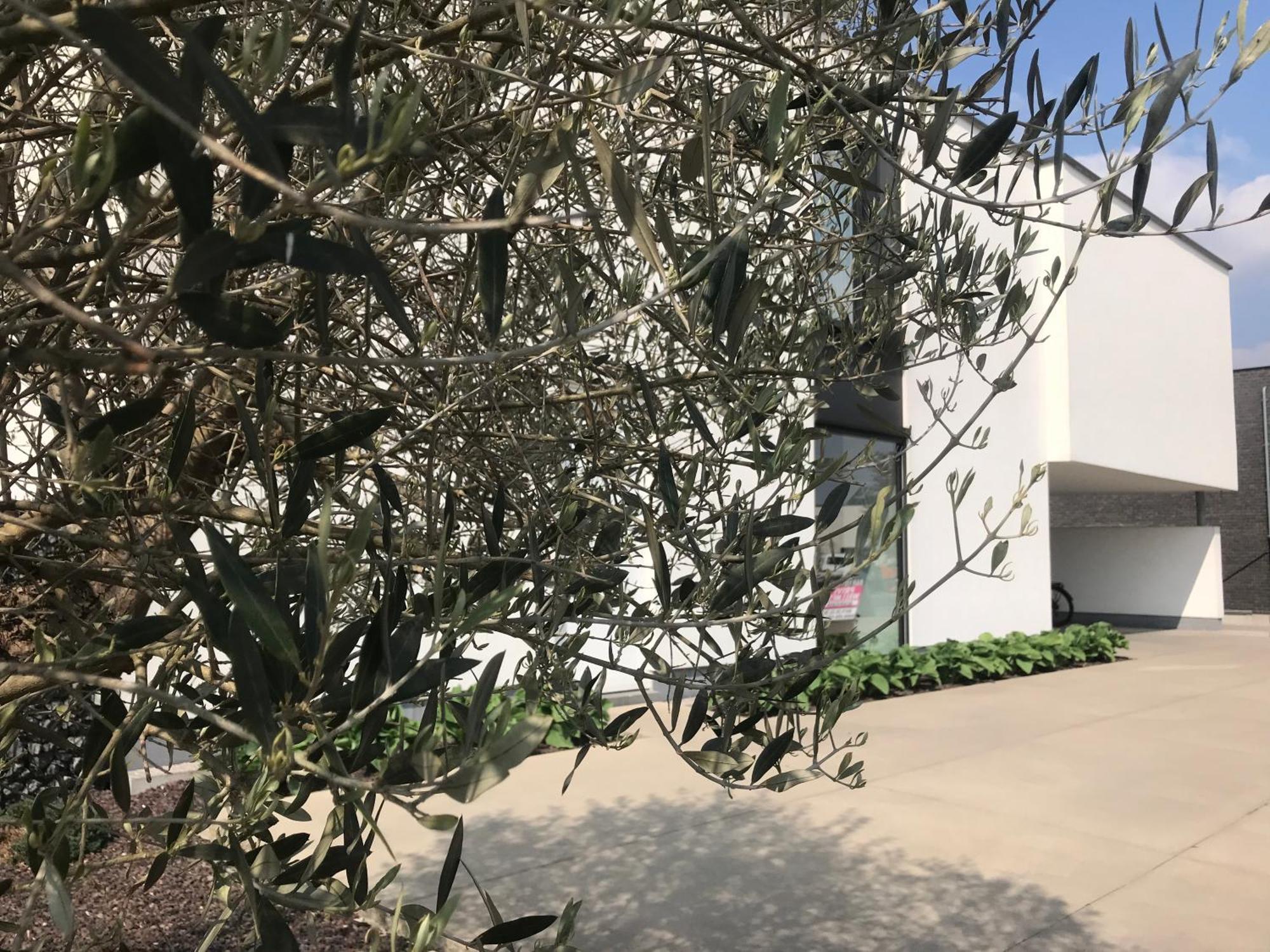 B&B Vita Roka met extra Luxe Privé Wellness Ursel Exteriör bild