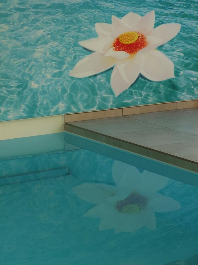 B&B Vita Roka met extra Luxe Privé Wellness Ursel Exteriör bild
